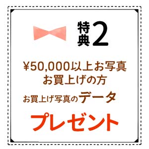 写真データ