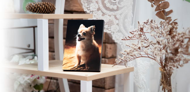 ナチュラルフォトブロック